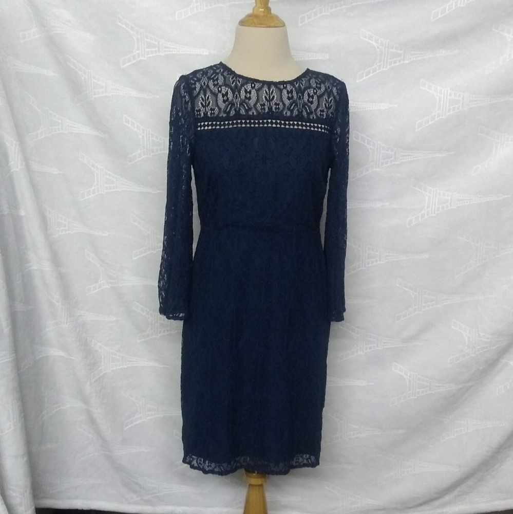 Loft Blue Laced Dress